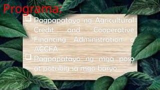 sino nagtatag ng accfa|Agricultural Credit and Financing Programs .